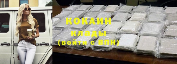 сатива Пересвет