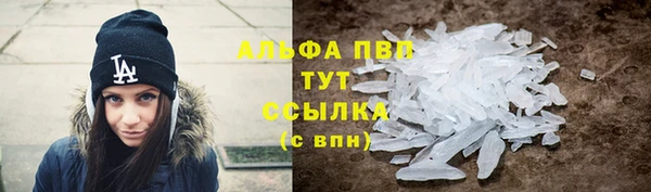 сатива Пересвет