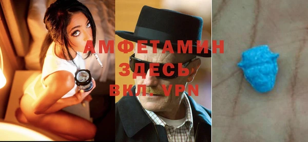 сатива Пересвет