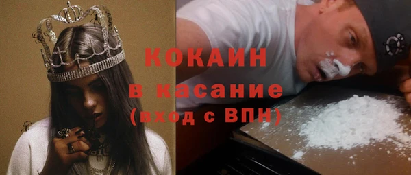 сатива Пестово