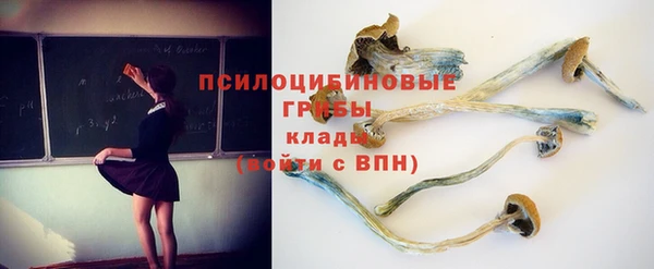 MESCALINE Переславль-Залесский