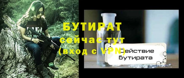 сатива Пересвет