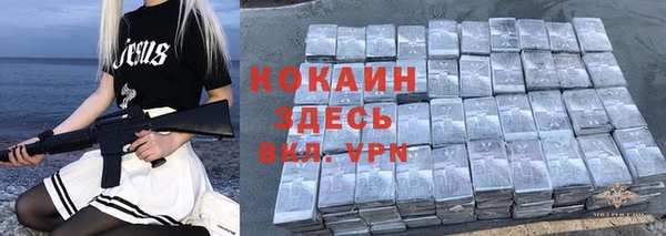сатива Пестово