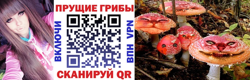 darknet какой сайт  MEGA ONION  Псилоцибиновые грибы Cubensis  Каневская  закладки 
